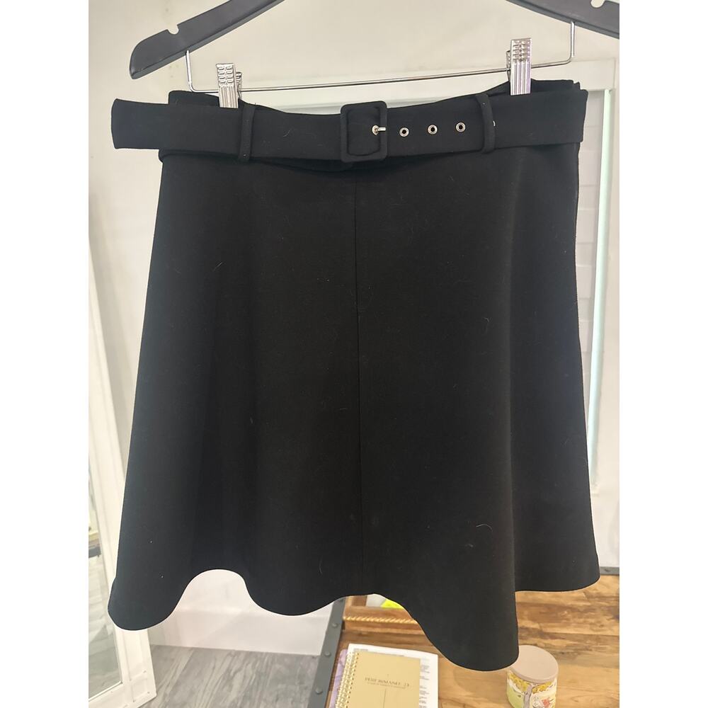 Zara ALine Skirt with Belt - Picture 2 of 6